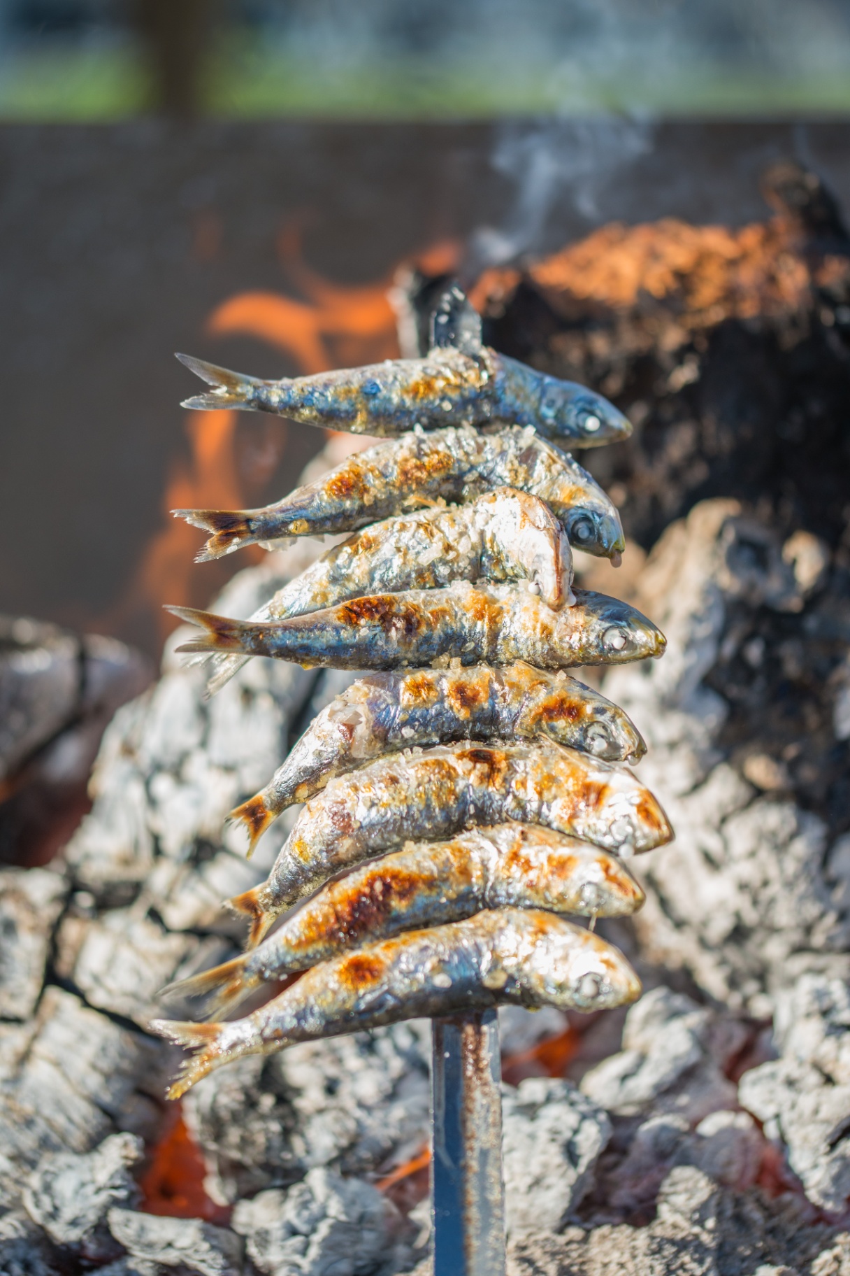 Espeto de sardinas asado al fuego de leña